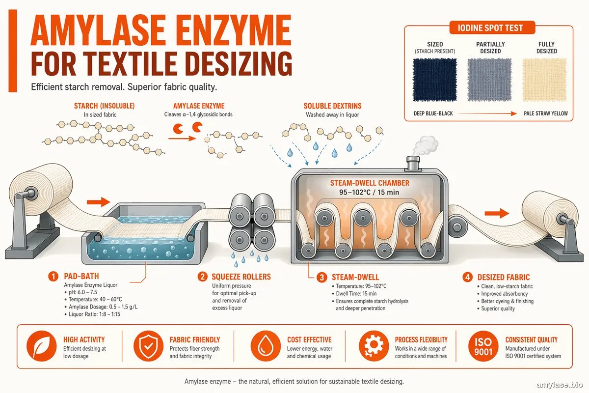 Amylase Enzyme for Textile Desizing