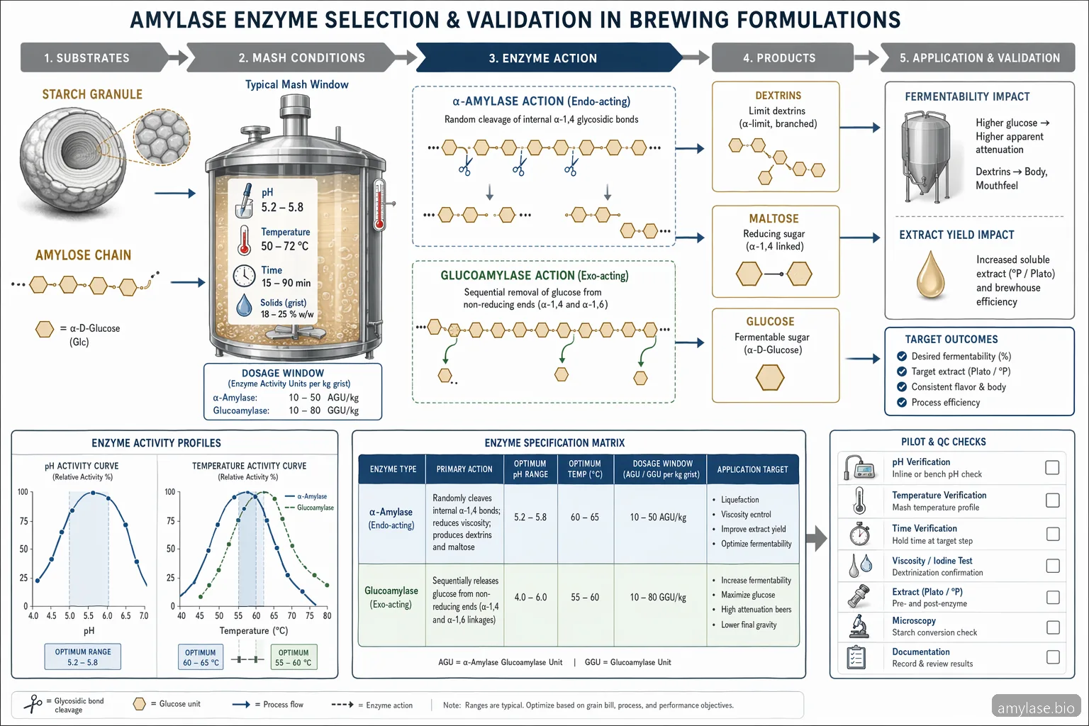 amylase brewing enzyme for brewing formulations, process diagram mapping pH, temperature, starch hydrolysis, and fermentability checks